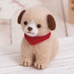 Cute Puppy